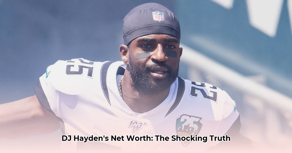dj-hayden-net-worth